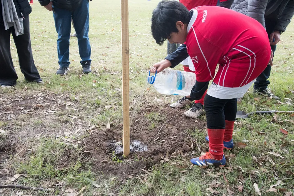 portada forestación con la URT