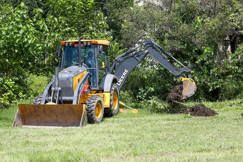 Rossana Chahla- Recuperación Parque Guillermina 2