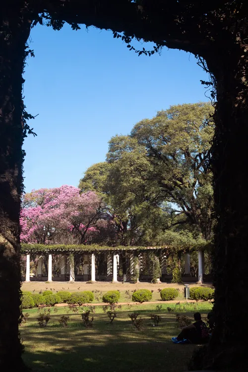 293 Sofia Rojas rosedal smtenflor