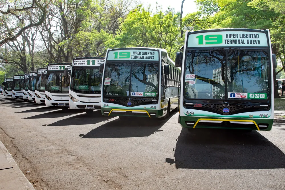 Presentación colectivos lineas 11 y 19 6