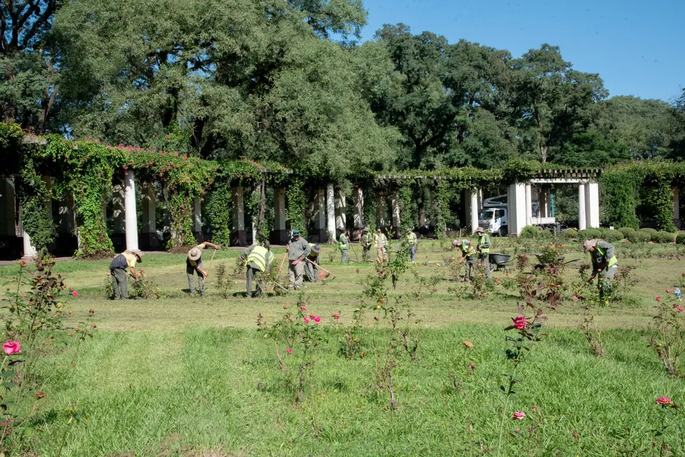 Revalorización del Rosedal del Parque 9 de Julio (4)