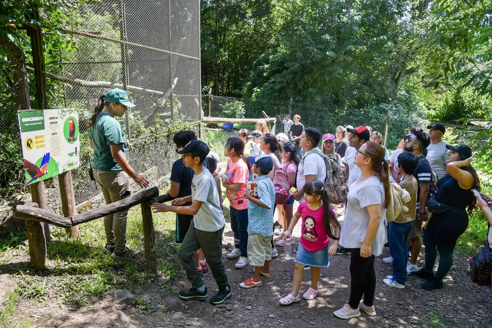 WhatsApp Image 2024-01-26 at 20.49.40