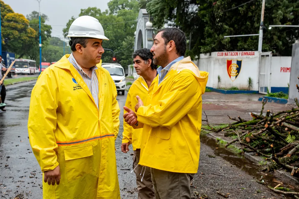 WhatsApp Image 2026-01-19 at 10.44.14