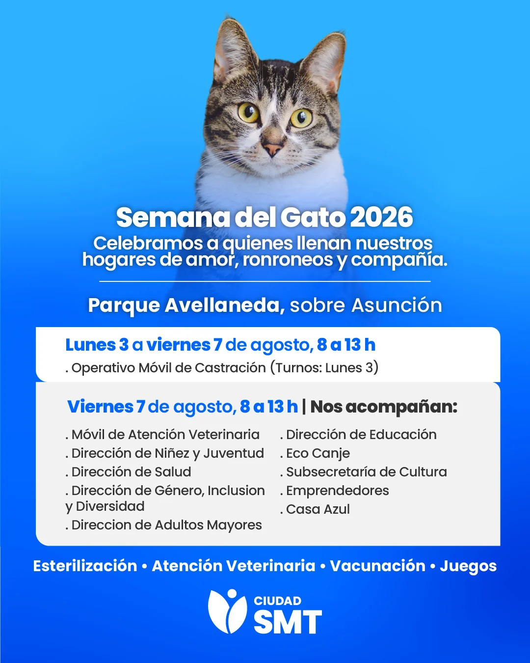 semana del gato