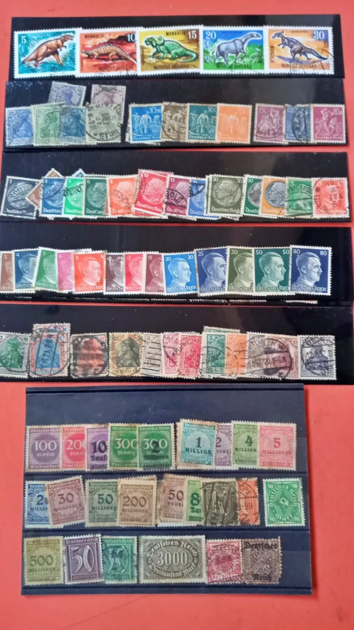 WhatsApp Image 2024-02-06 at 13.57.50 (1)