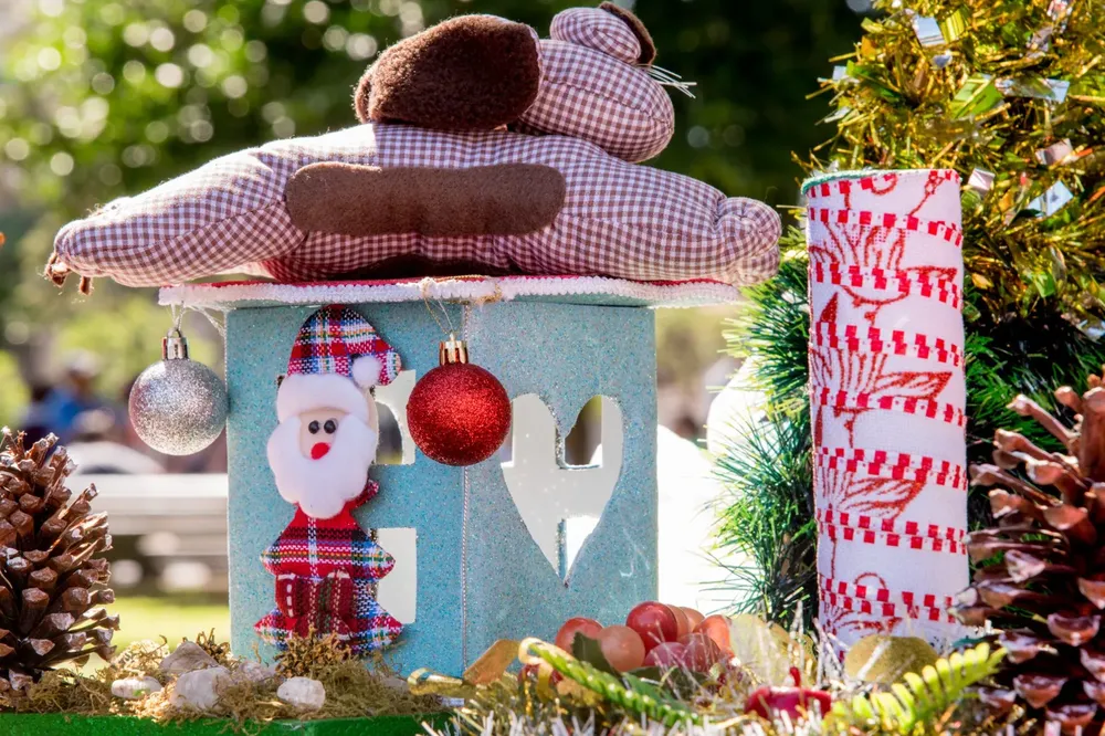 WhatsApp Image 2025-12-03 at 12.34.56 PM