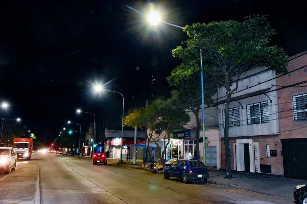 2025 poda para mejorar el alumbrado de avenida Colón (2)