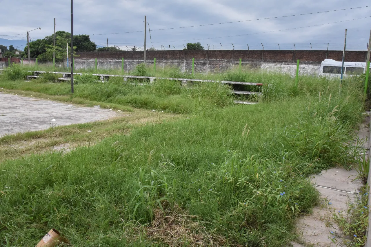 WhatsApp Image 2024-01-19 at 13.34.02 (1)