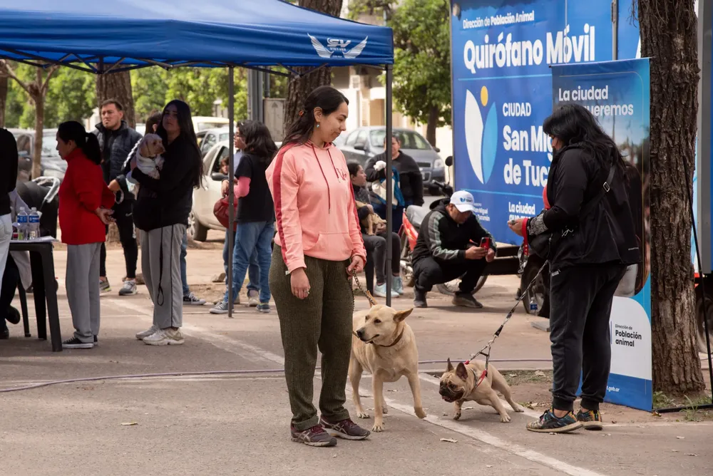 WhatsApp Image 2024-09-12 at 1.23.25 PM (4)