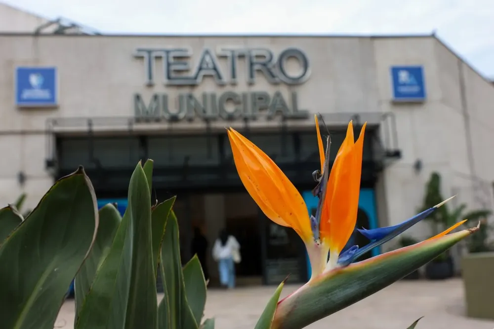 WhatsApp Image 2025-10-28 at 9.15.27 AM