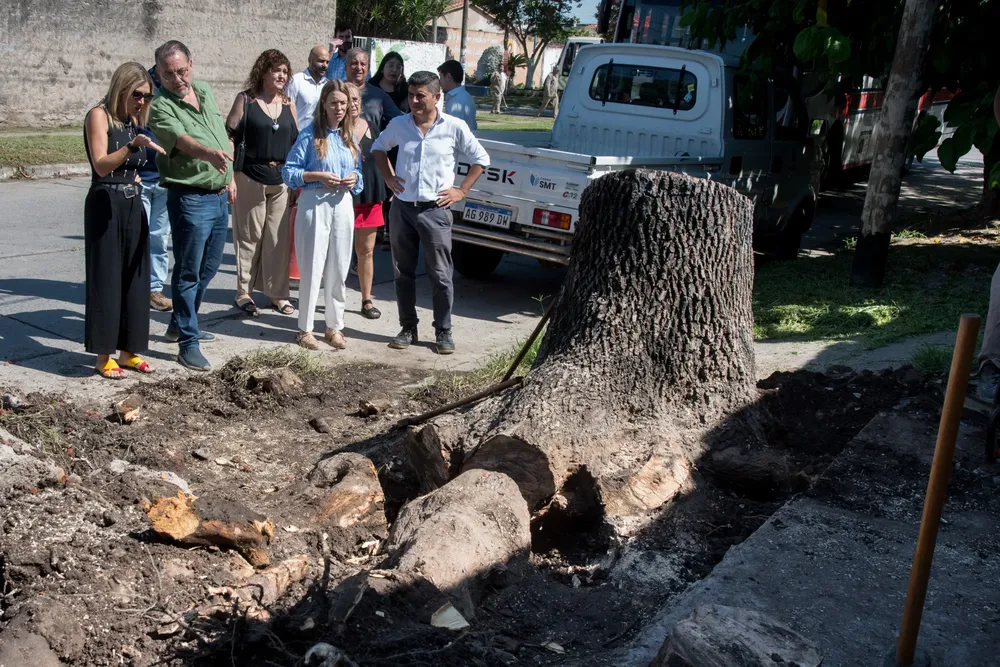 WhatsApp Image 2026-01-23 at 12.25.56 (2)