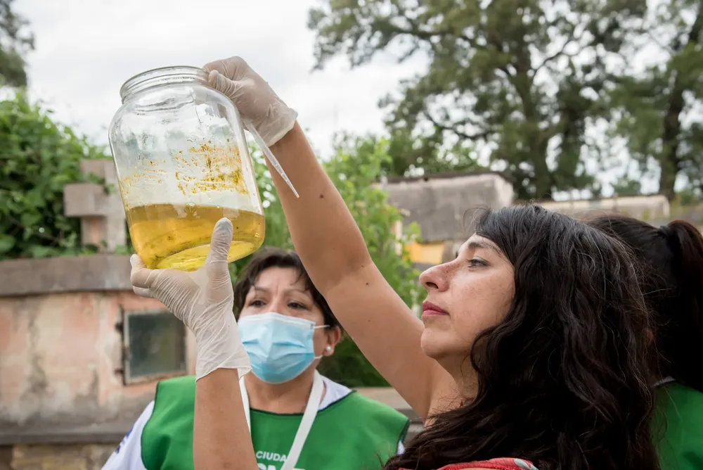 2025 Operativo de fumigación y control focal - Cementerio del Norte - Sec. Ambiente (13)