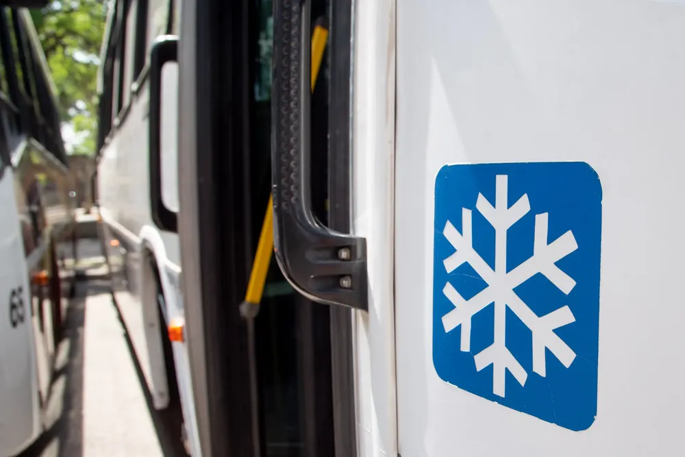 Presentación colectivos lineas 11 y 19 4