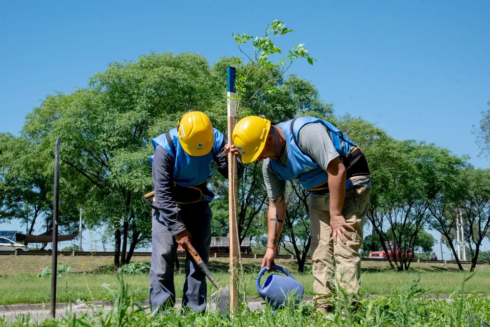 smt somos más en territorio barrio agef 1