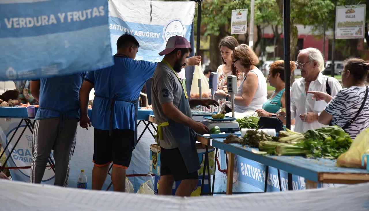 Imagen de WhatsApp 2024-04-26 a las 14.24.13_15a12b6d