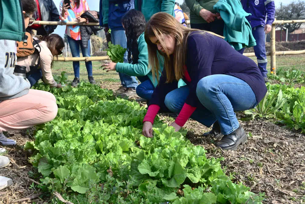 visita huerta municipal 3