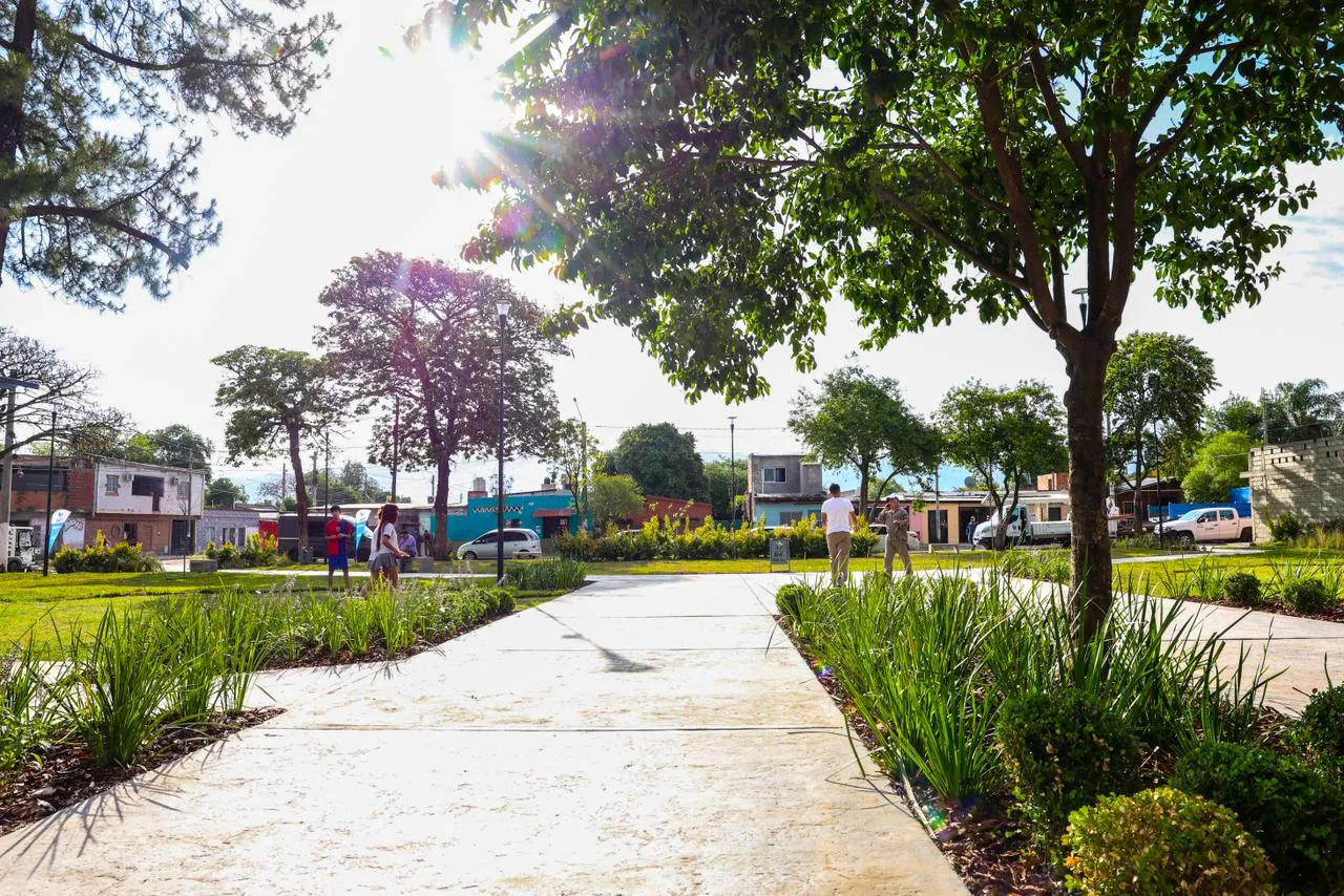 2025 plaza Los Plátanos (1)