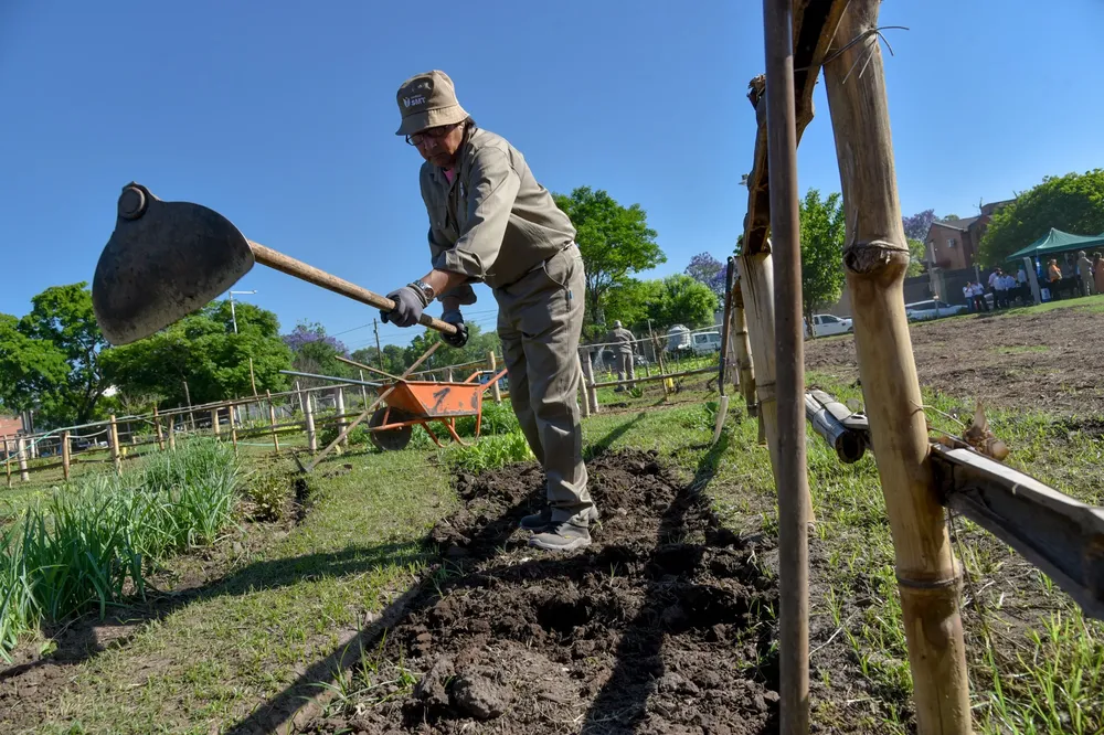 Programa Compostá en huerta municipal ambiente 2
