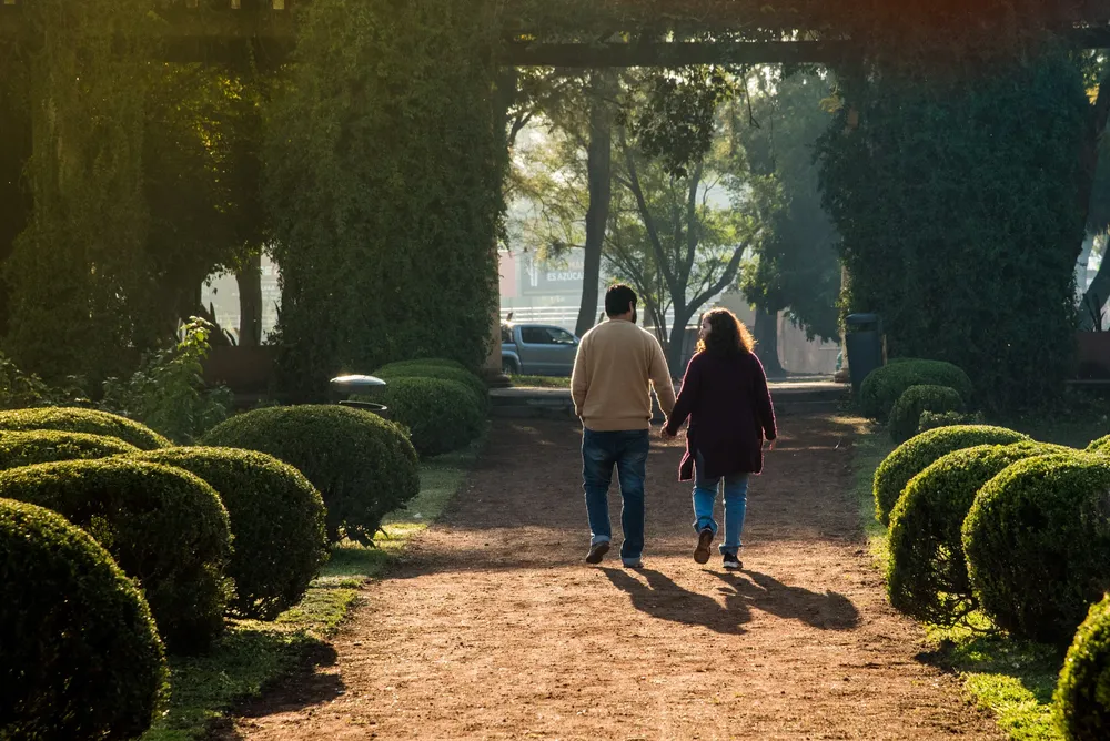 Revalorización del Rosedal del Parque 9 de Julio