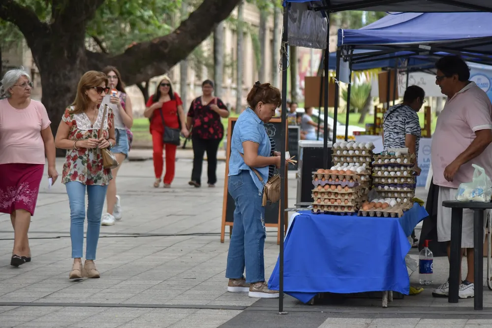 Mercado en Plaza UrquizaWhatsApp Image 2024-03-11 at 12.14.09