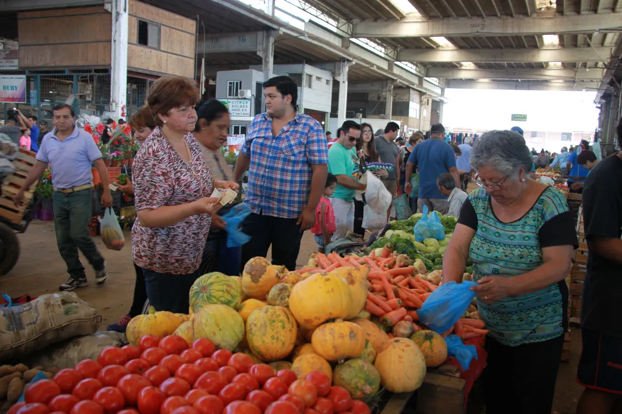 Mercofrut2024-02-08 at 10.36.11