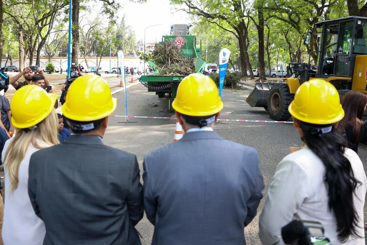 WhatsApp Image 2025-11-10 at 11.45.26