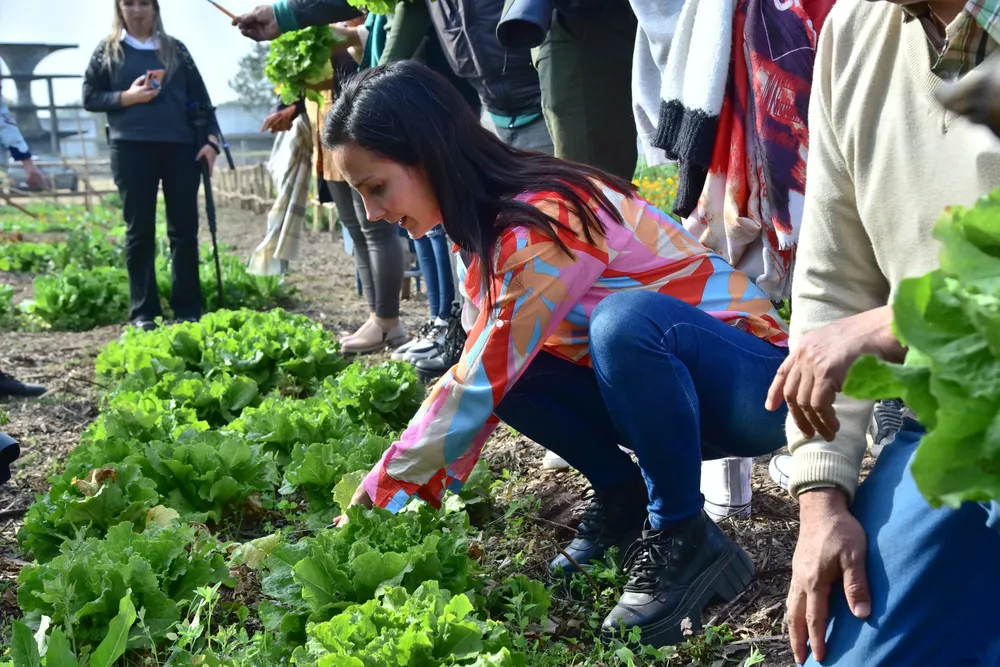 visita huerta municipal 4