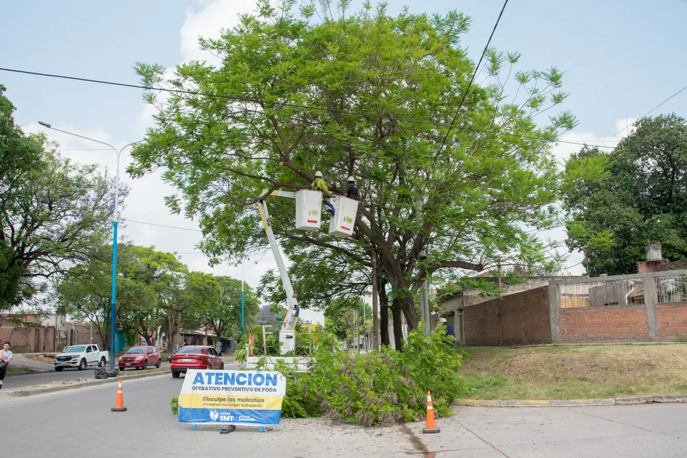 WhatsApp Image 2025-10-17 at 13.19.34