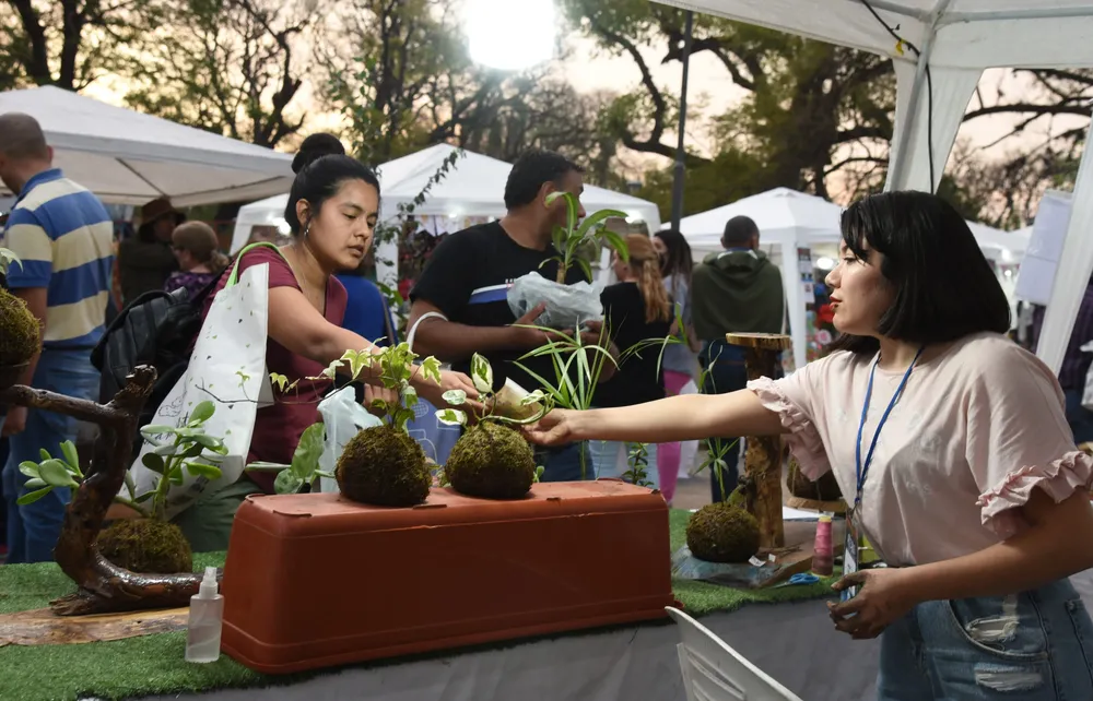 feria de emprendedores y artesanos plantas