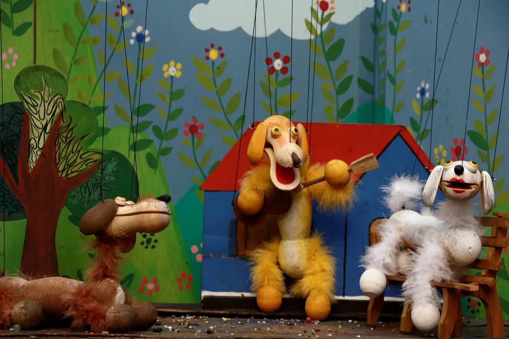 Teatro titeres Erase una vez - Colibrí - Venezuela (1)