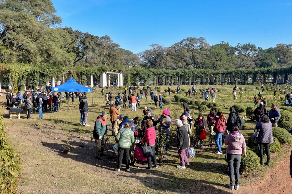 entrega de esquejes rosedal 5