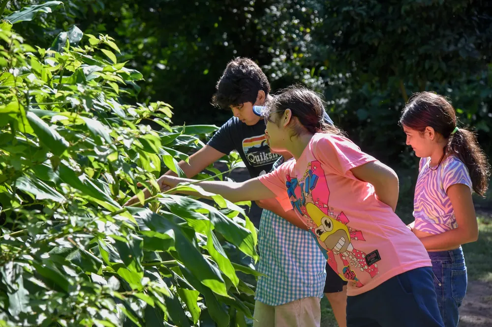 WhatsApp Image 2024-01-26 at 20.49.39 (2)