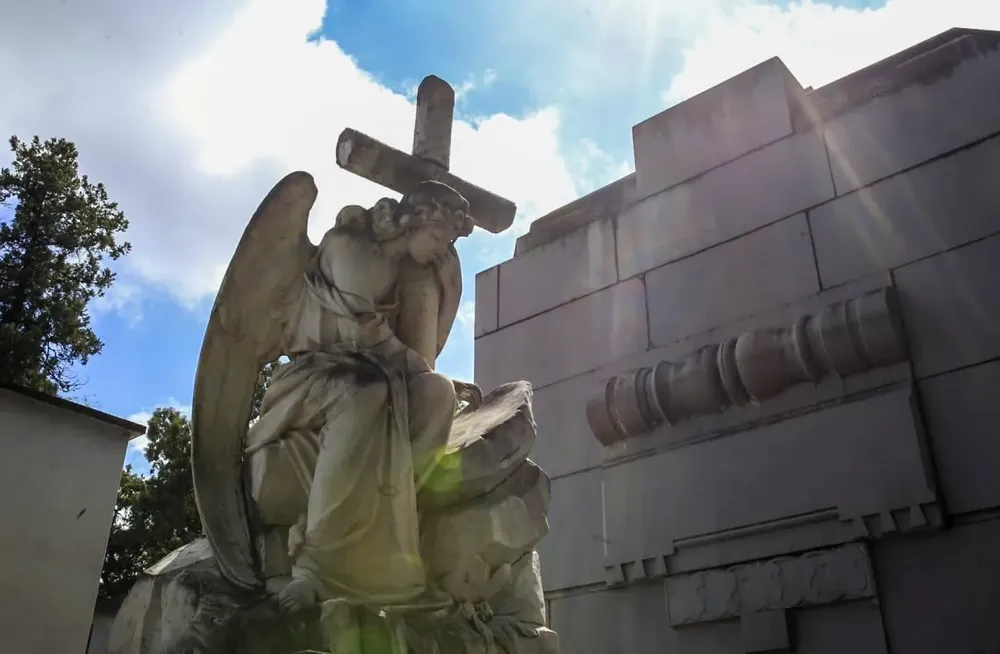 Cementerio municipal 2024