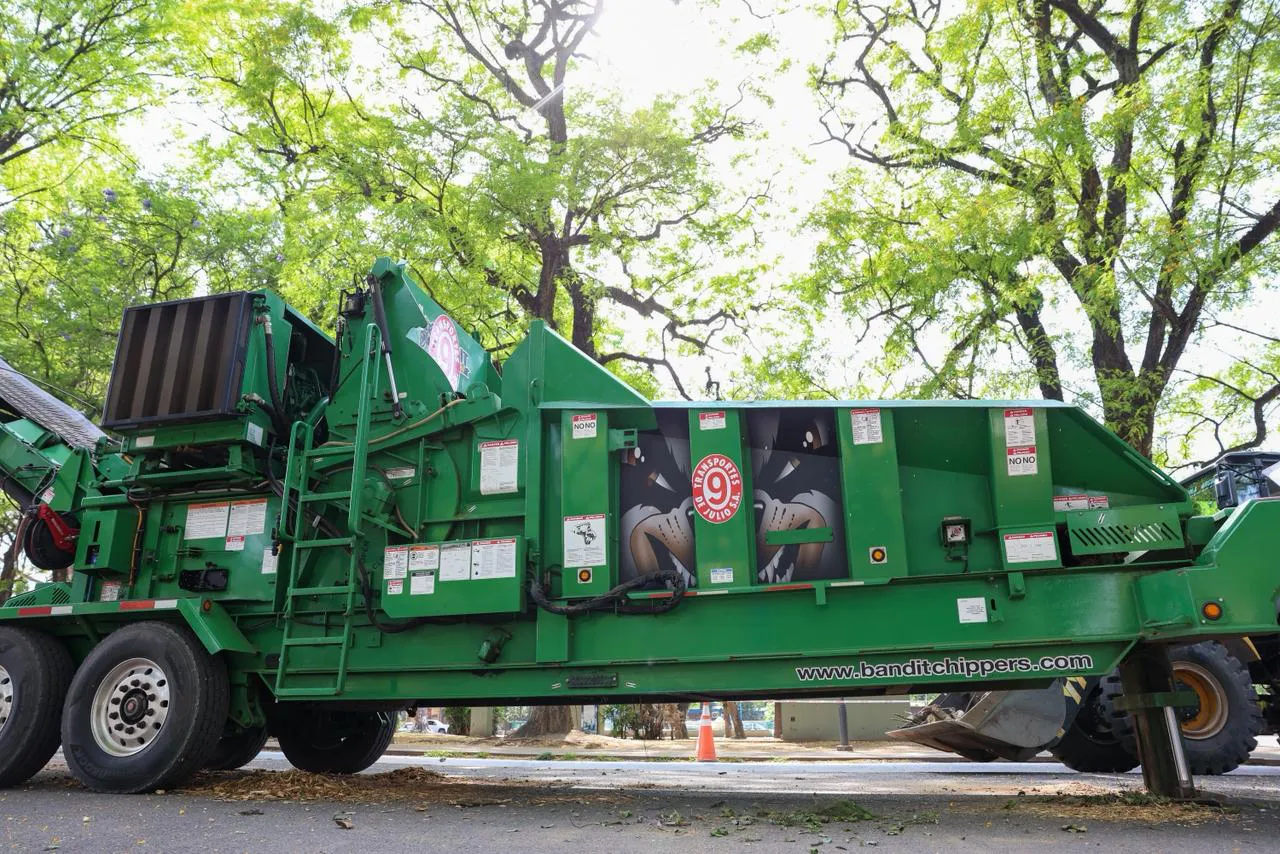 WhatsApp Image 2025-11-10 at 11.45.25