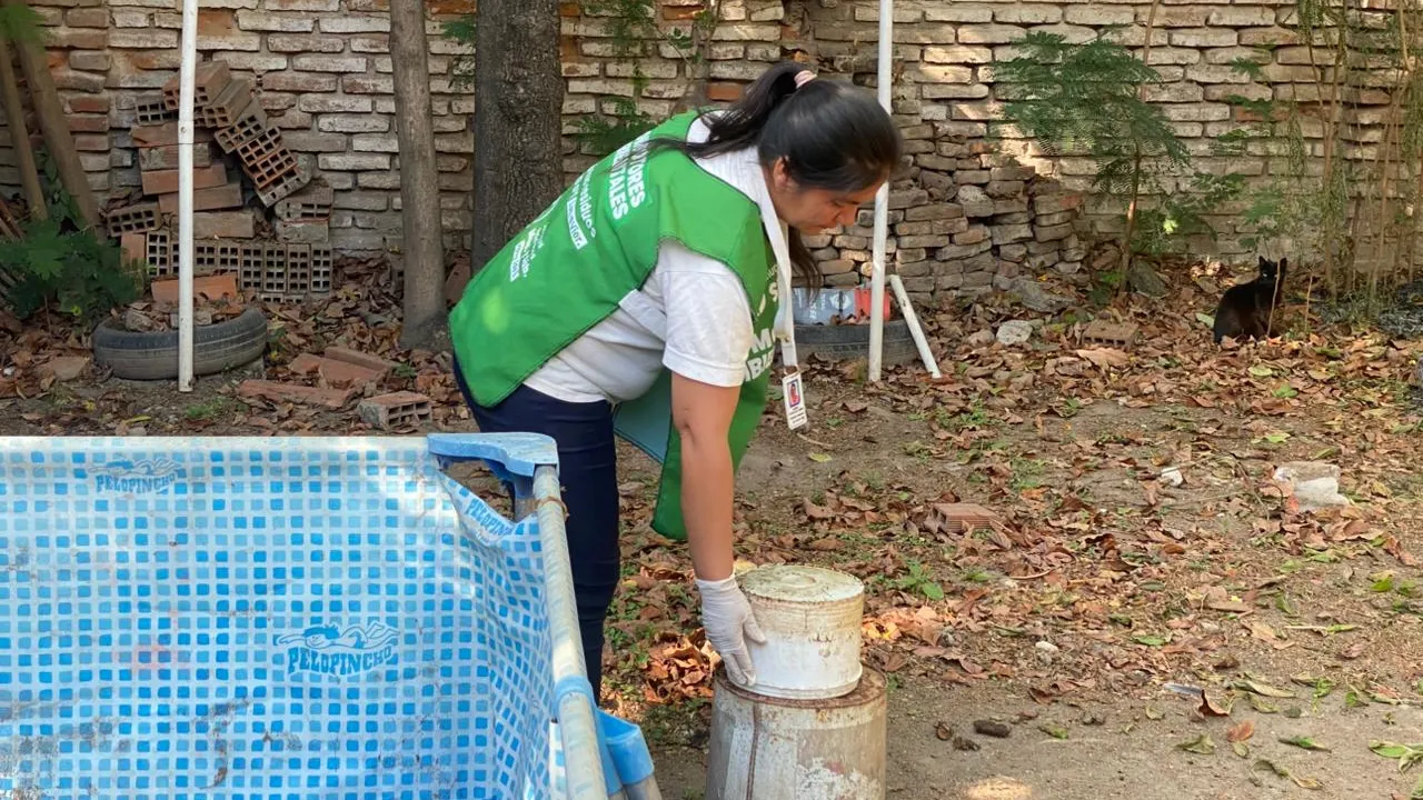 2025 control focal dengue noviembre (4)