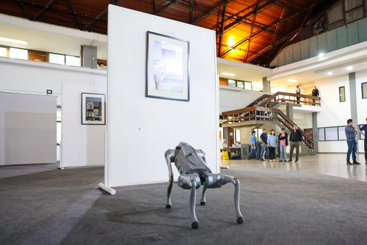 WhatsApp Image 2025-10-03 at 11.37.52 (1)