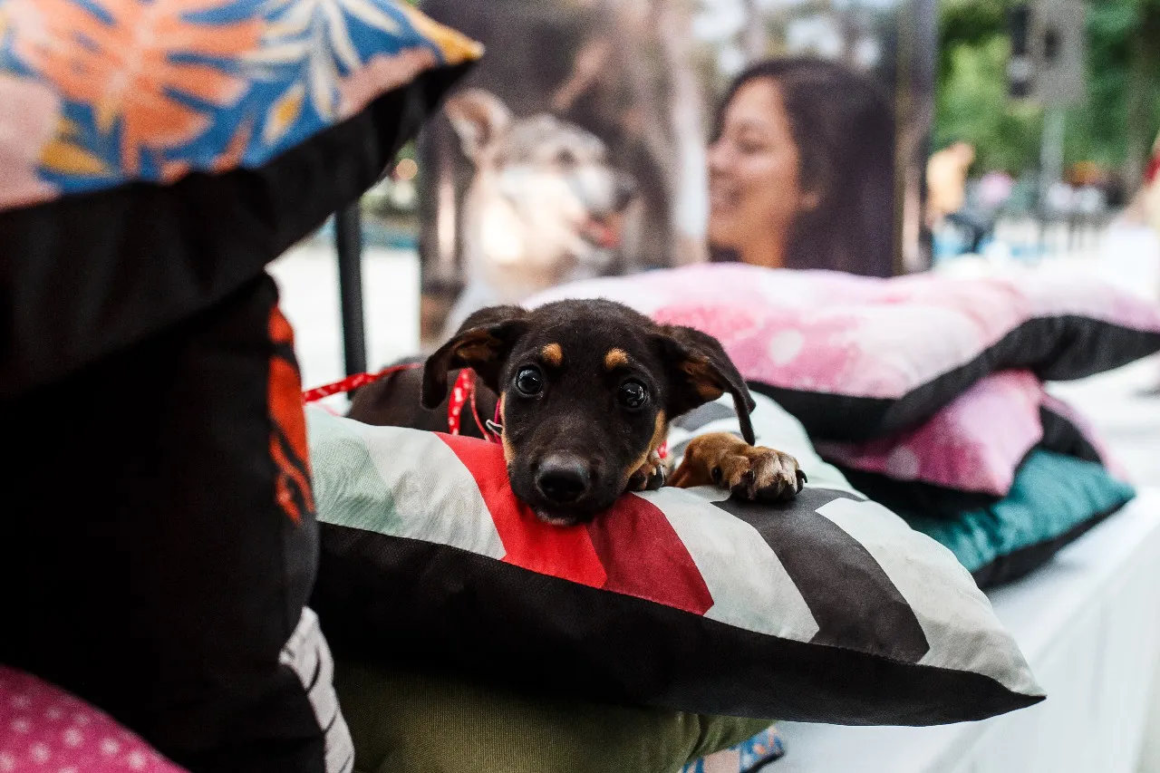 Imagen de WhatsApp 2024-04-30 a las 10.50.46_be671635