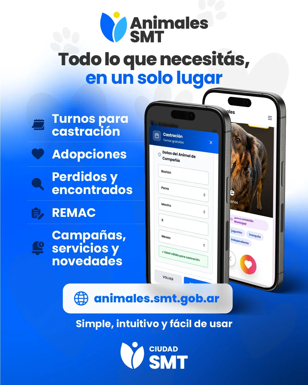 App Animales SMT Servicios