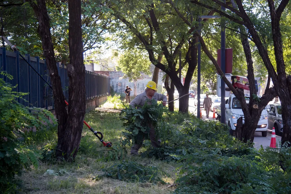 2026 Fernando Juri en Parque El Provincial poda y limpieza (3)