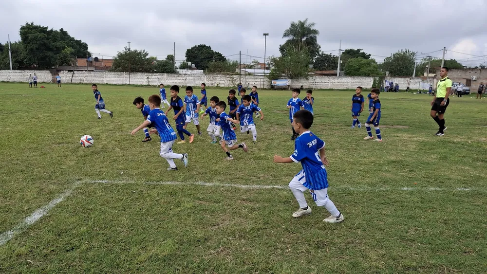 2025 cebollitas para ilustrar