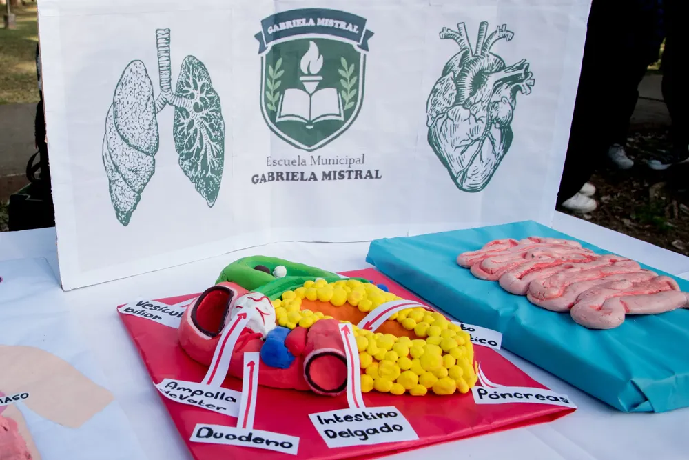 2025 día de la donacio´n de órganos otras (1)