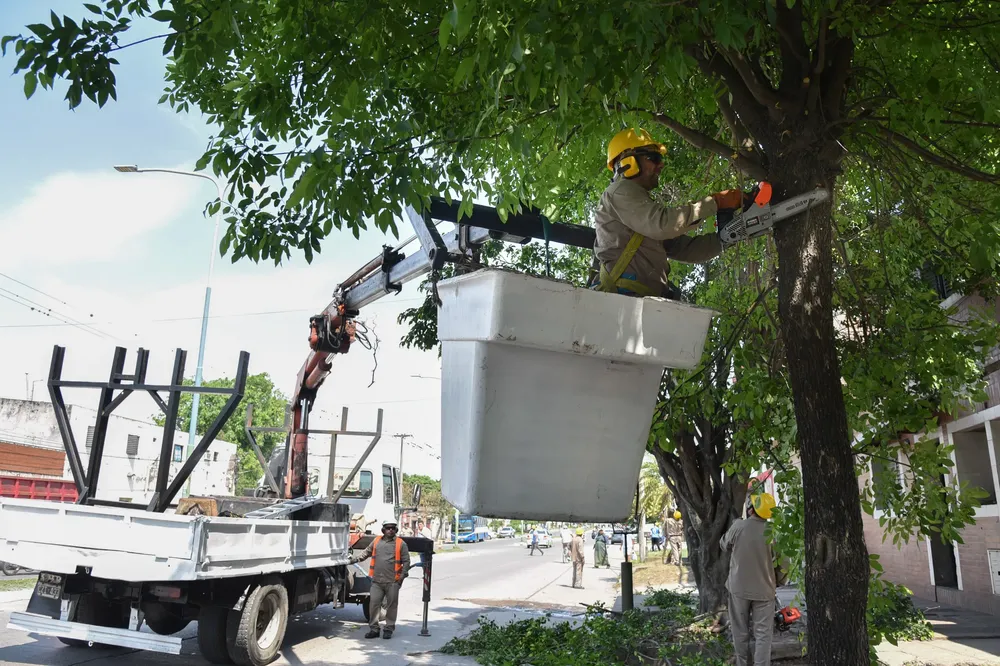 Operativo servicios públicos av Martin Berho 8