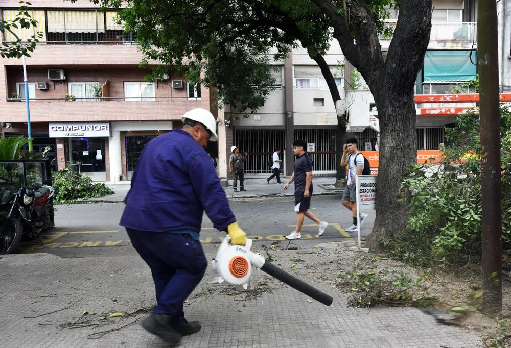arbol 3