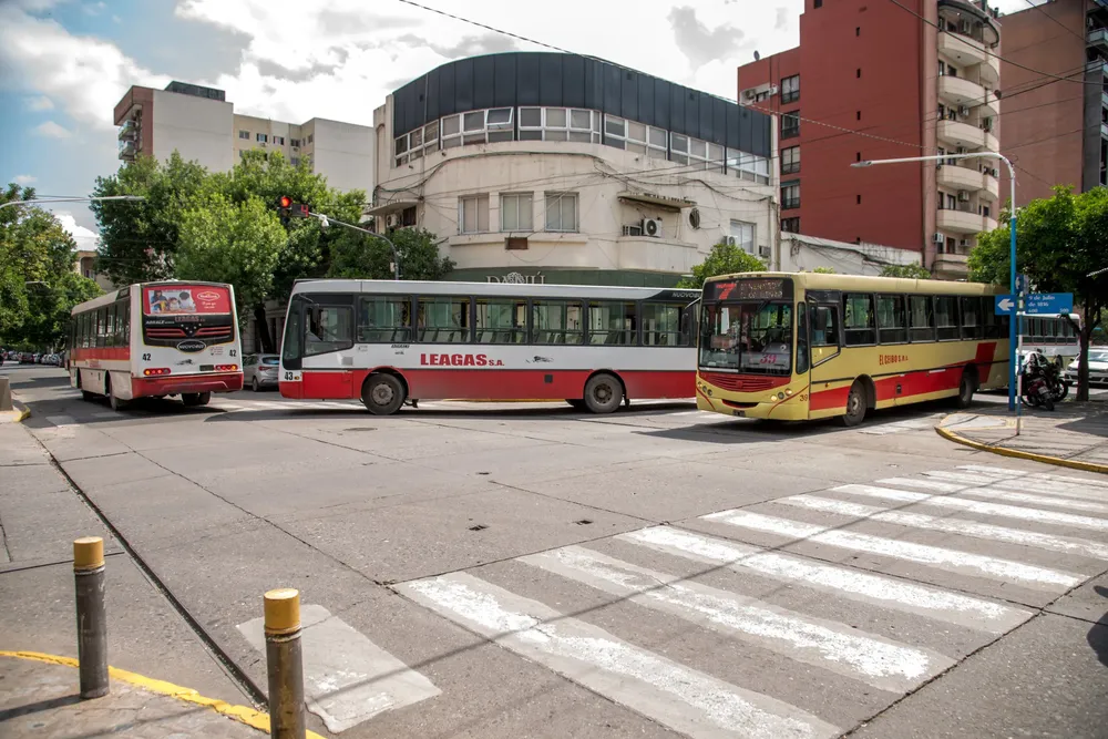 WhatsApp Image 2025-11-05 at 16.39.06b