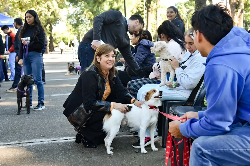 WhatsApp Image 2025-04-28 at 1.03.39 PM (1)