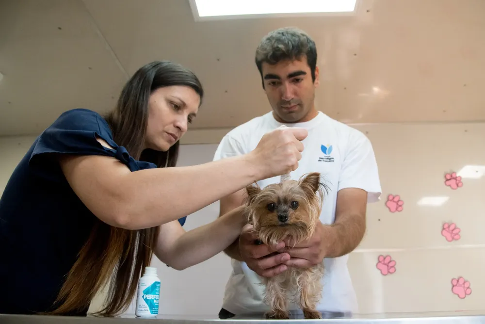 WhatsApp Image 2024-10-31 at 10.32.41 AM