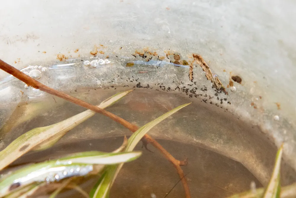 WhatsApp Image 2024-11-27 at 12.21.35 PM