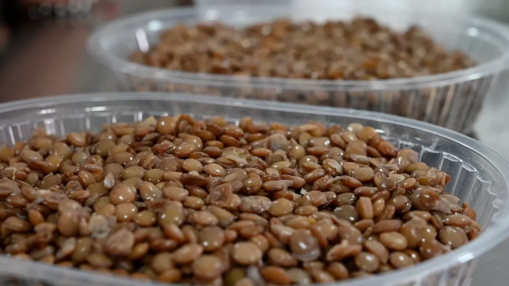 Día Mundial de la Obesidad-Legumbres