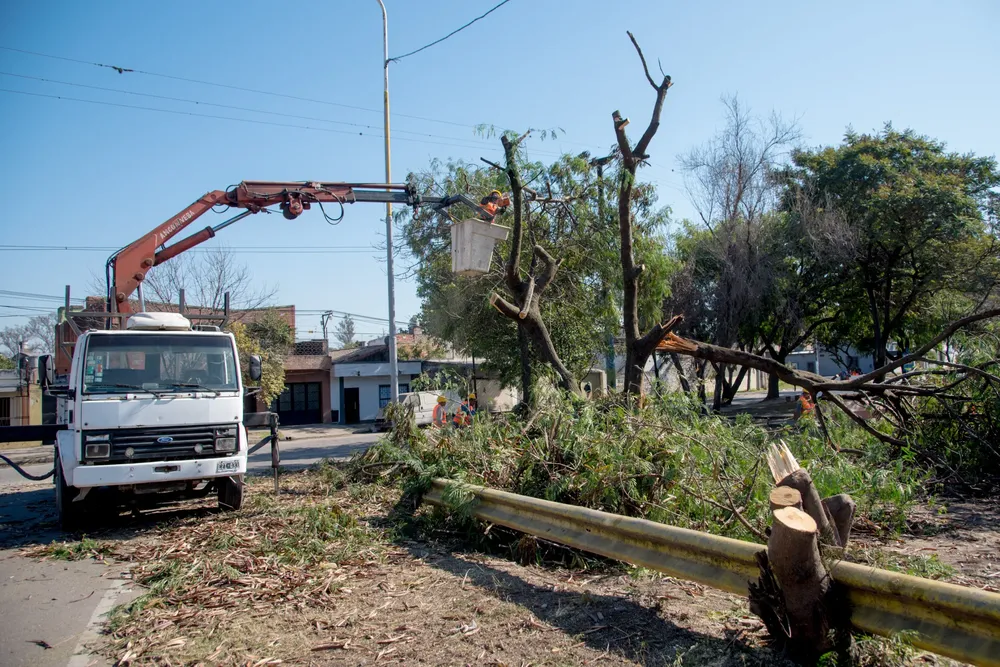 WhatsApp Image 2024-07-26 at 12.51.29 PM (2)