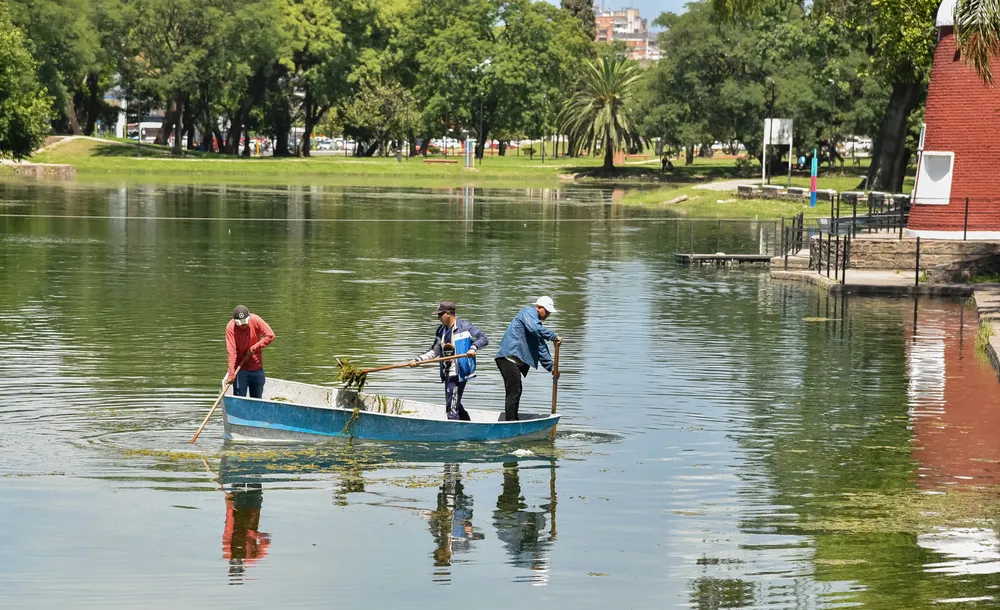 Mantenimento Lago (1)